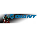 GIANT
